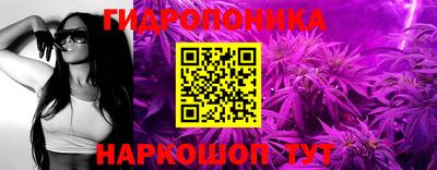 a pvp Кимры